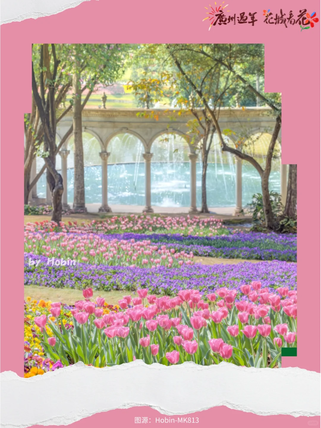新春看花！来广州2025郁金香花展拍人生照片