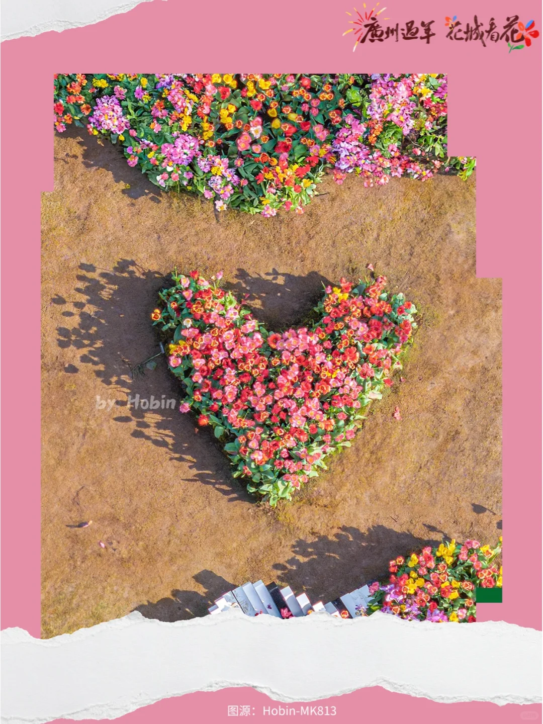 新春看花！来广州2025郁金香花展拍人生照片
