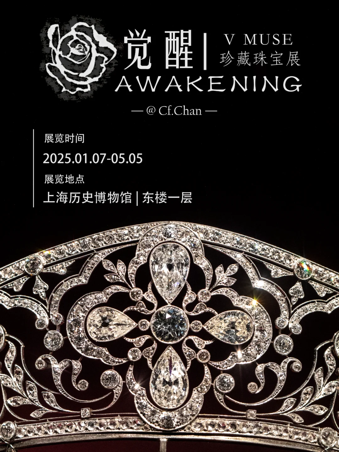 上海展览|又掉到珠宝展的窝里！觉醒珠宝展