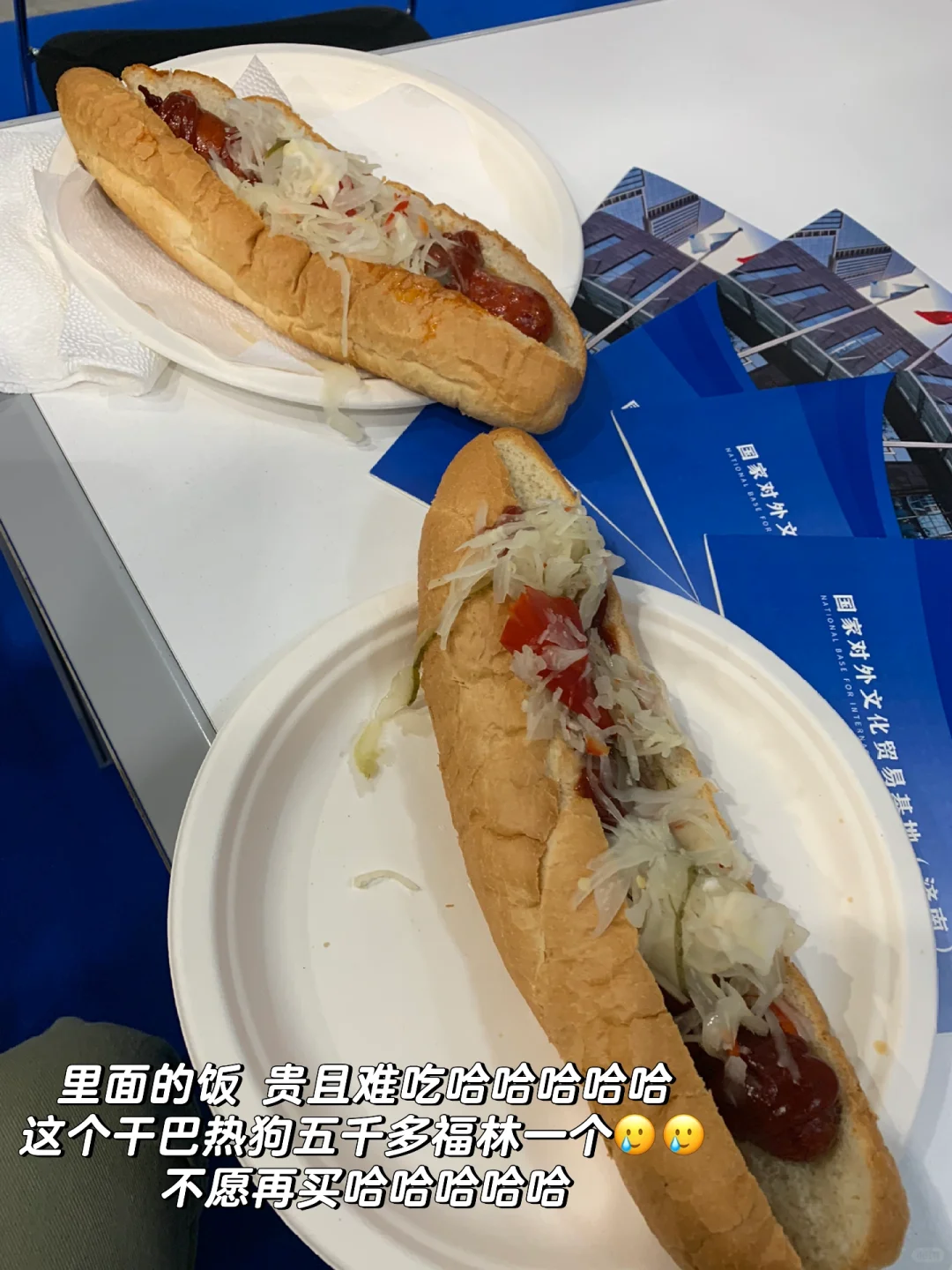 ??中国品牌（中东欧）展会翻译3日体验卡?