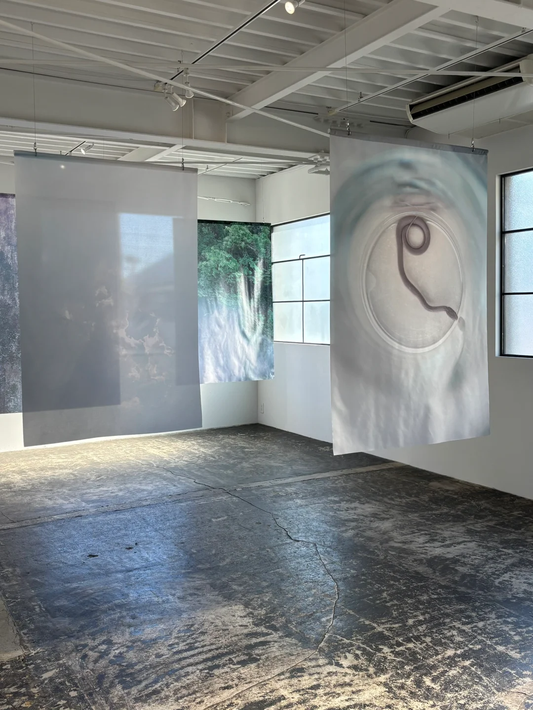 东京|一连看了川内伦子和滨田英明的个展?。