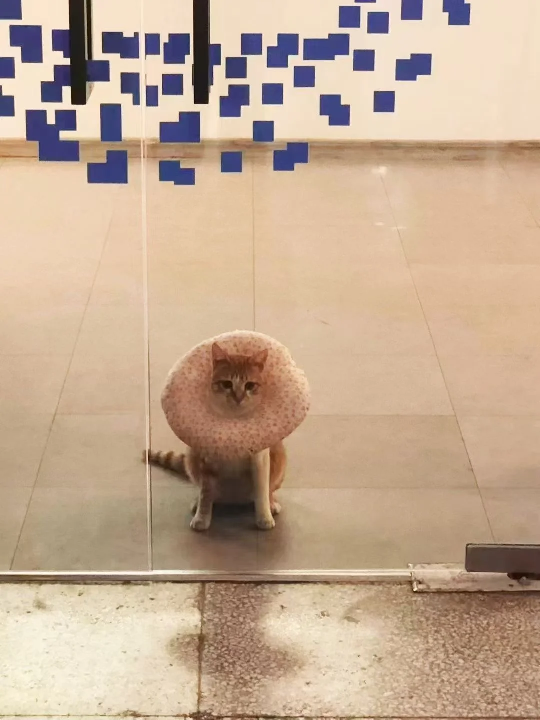 展会该如何准备