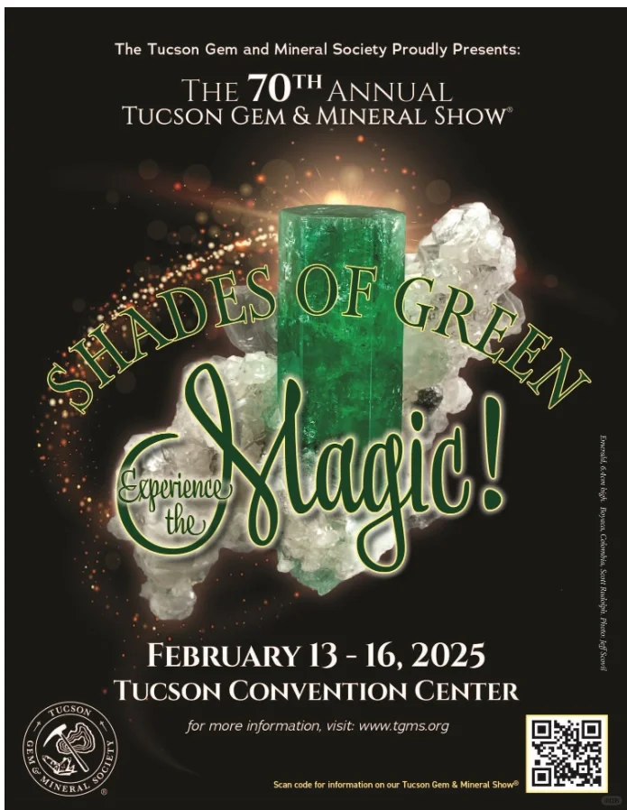 2025图森展｜有哪些展会适合化石爱好者呢？