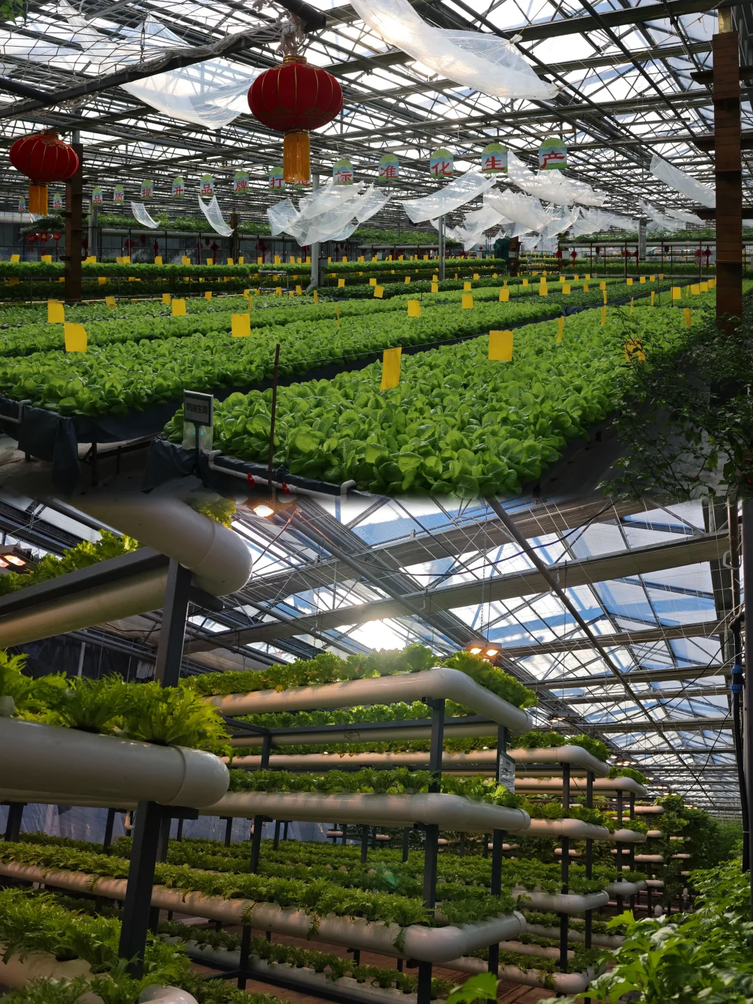 能吃、能拍、还能玩，农博园还是太全面了?