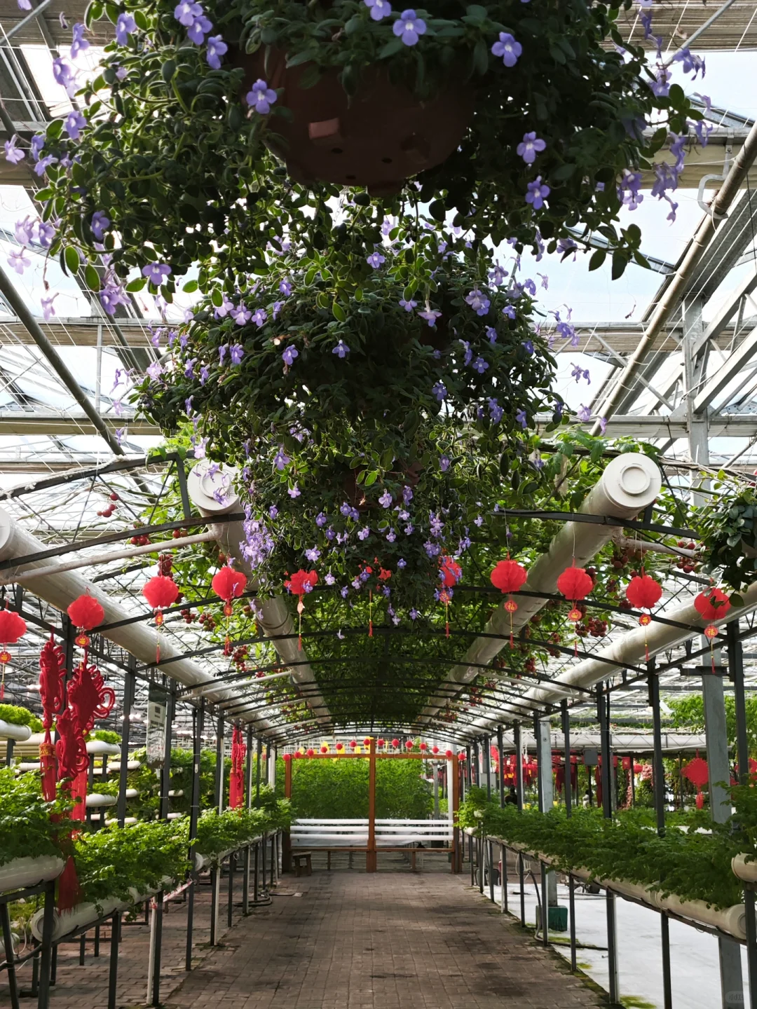 能吃、能拍、还能玩，农博园还是太全面了?