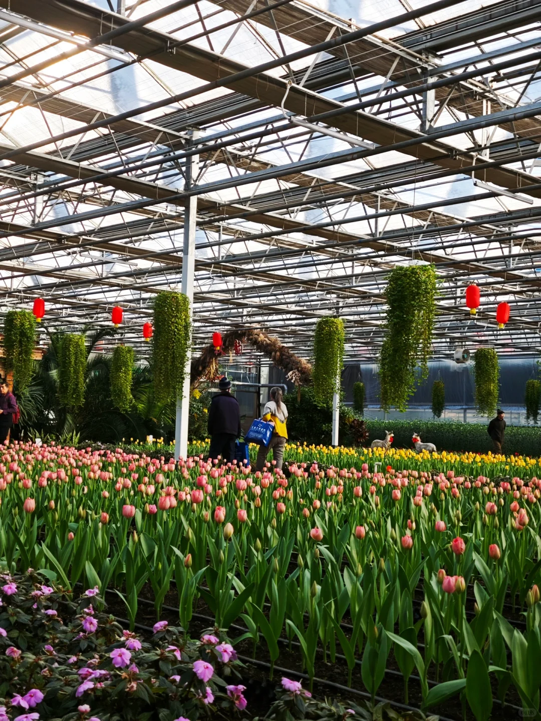 能吃、能拍、还能玩，农博园还是太全面了?