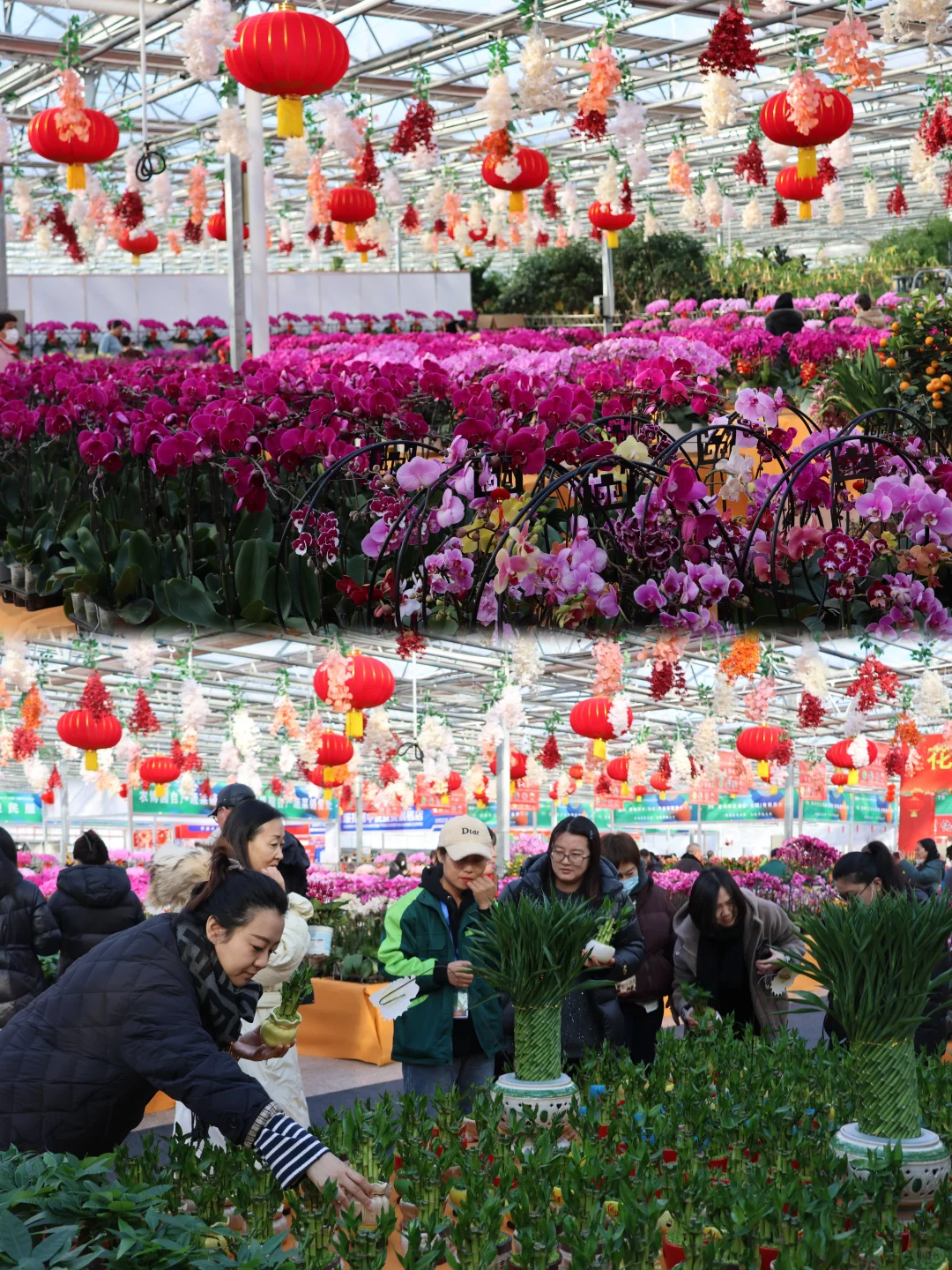 能吃、能拍、还能玩，农博园还是太全面了?