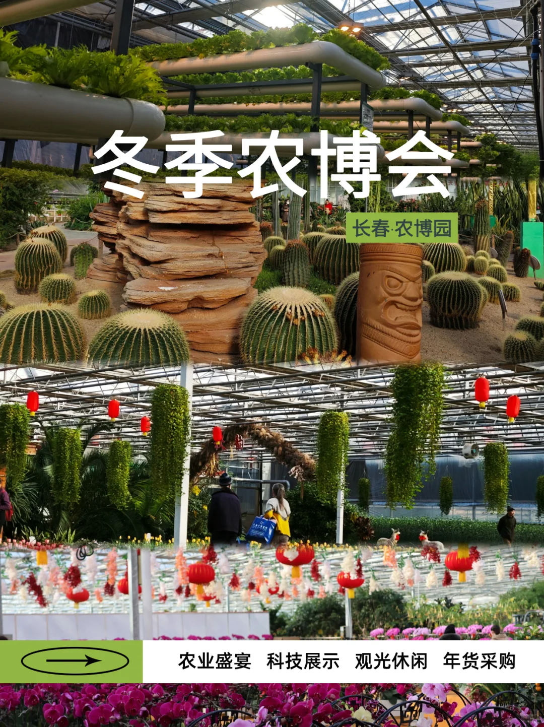 能吃、能拍、还能玩，农博园还是太全面了?