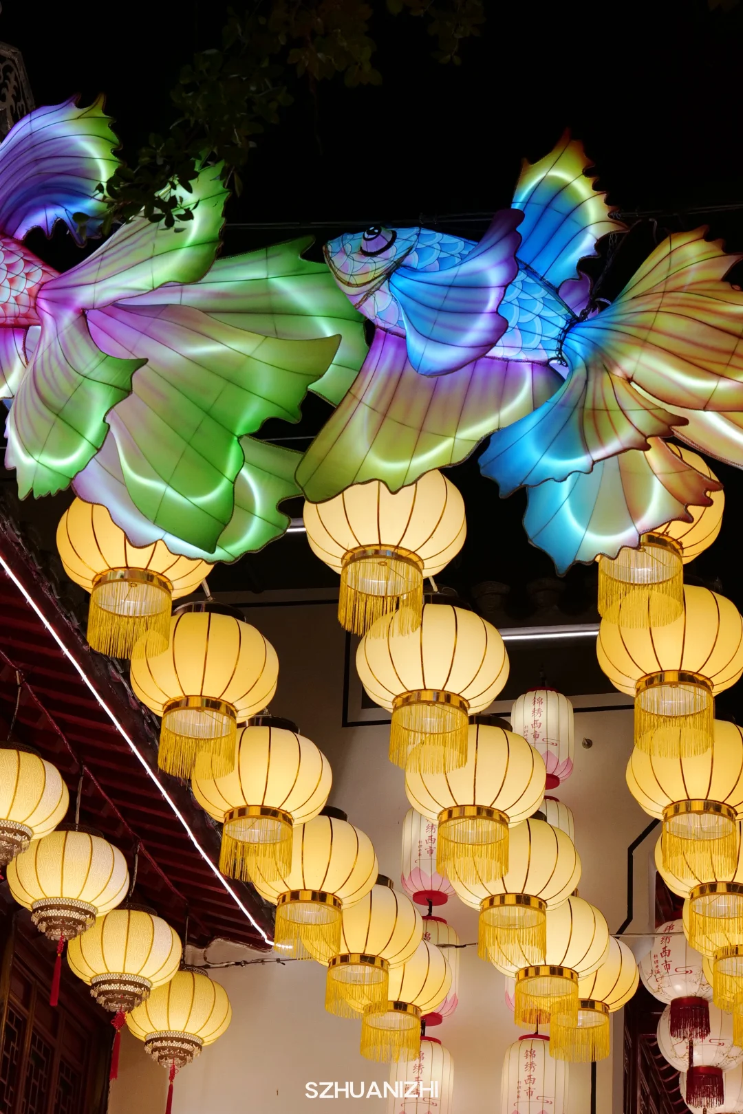 深圳这个周末可以做的20件事✅太多免费了吧