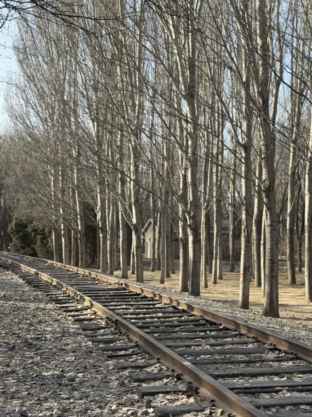朗园Station‼️最近新展集合，好逛不输798