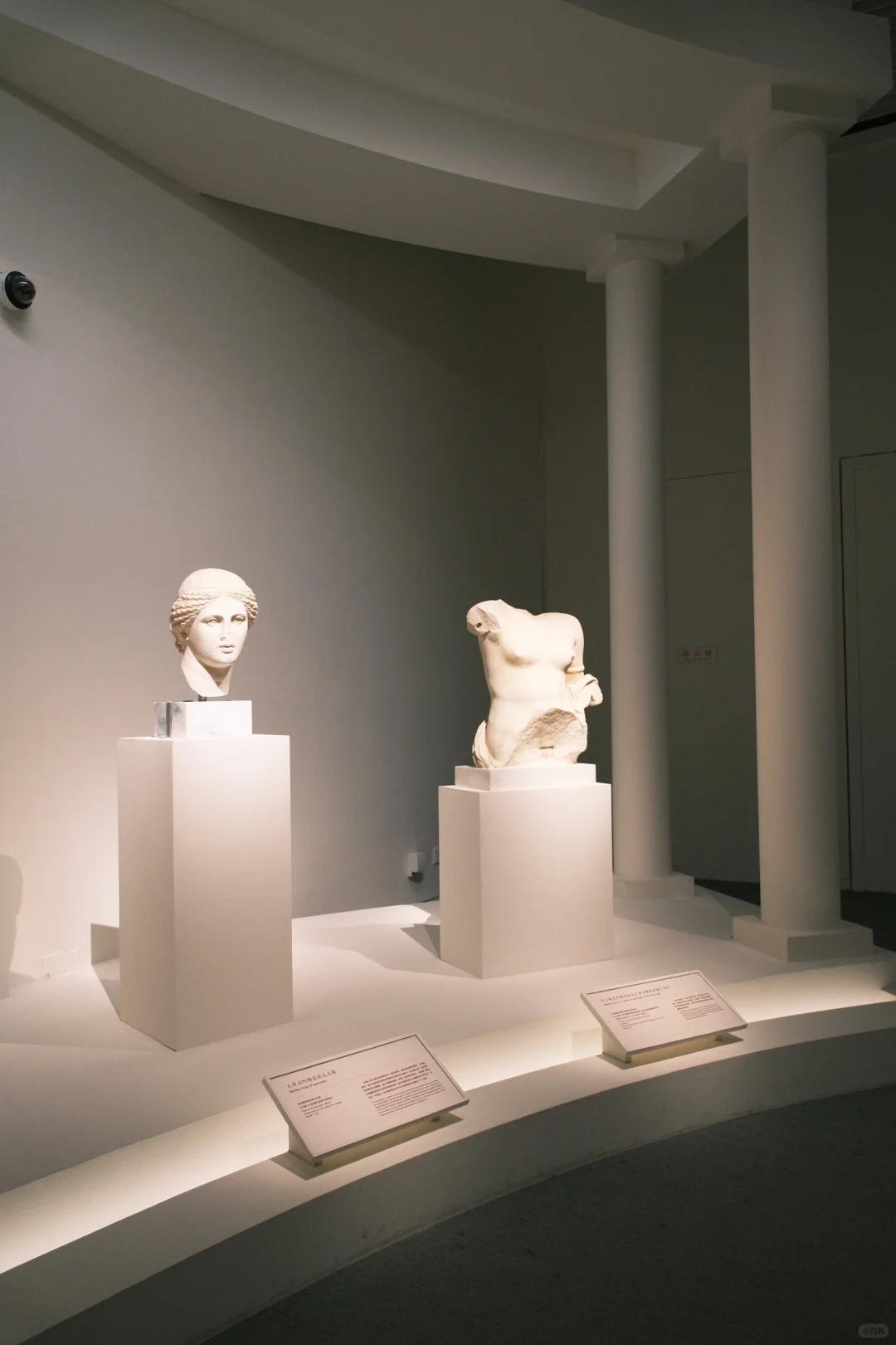 ◽️国博古希腊特展 | 美的多元?️