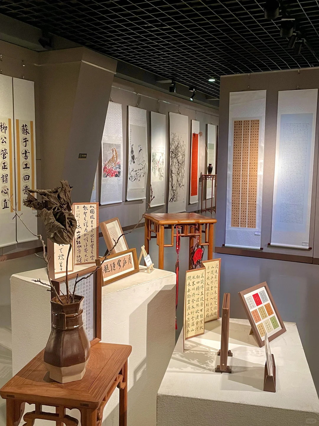 开封！又有新展！！????快去打卡?！！