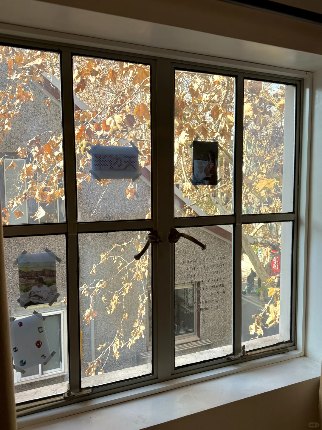 上海免费新展！被浪漫星空包围下……✨✨