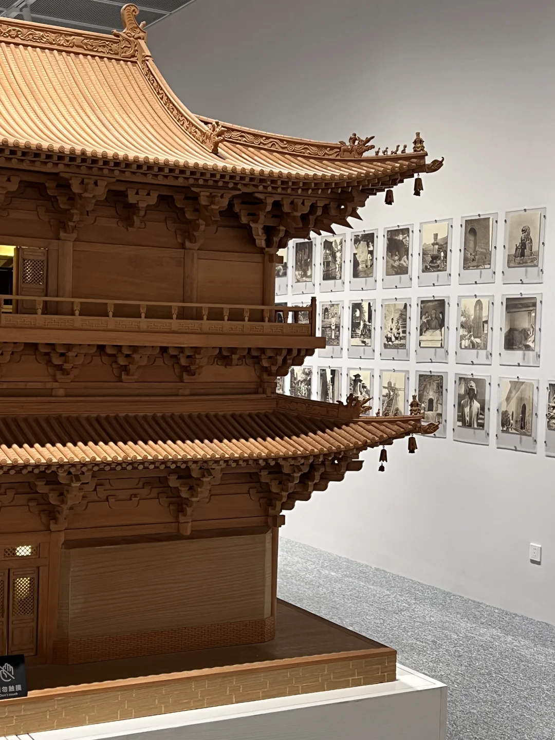 上海近期坠震撼的新展…………………