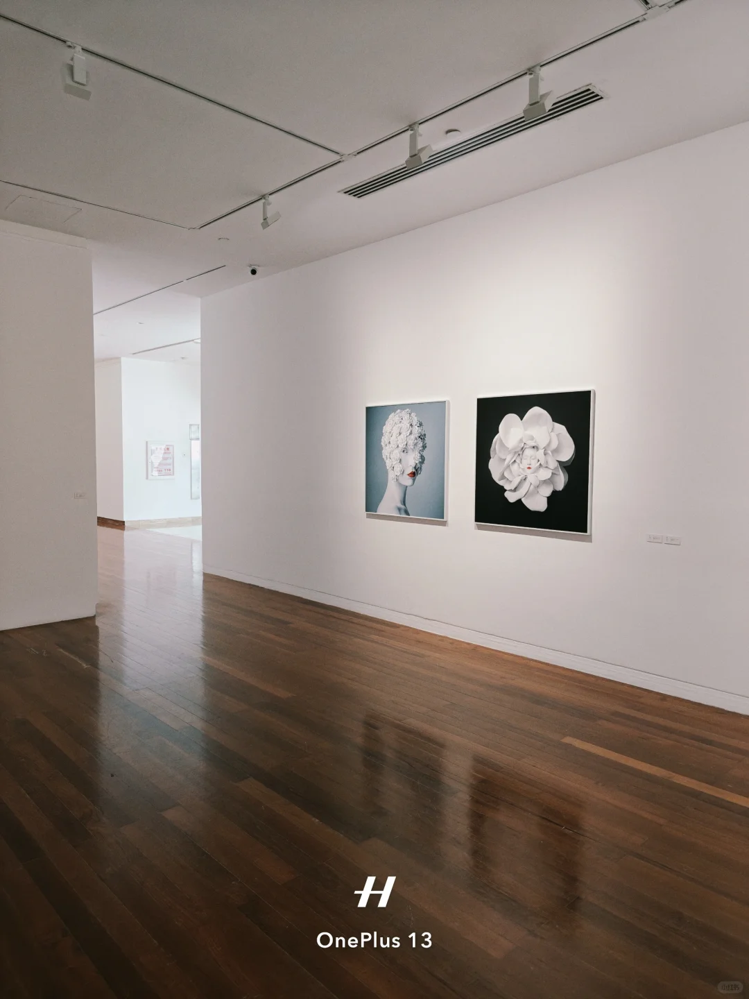 离开深圳前!最后再看个展!