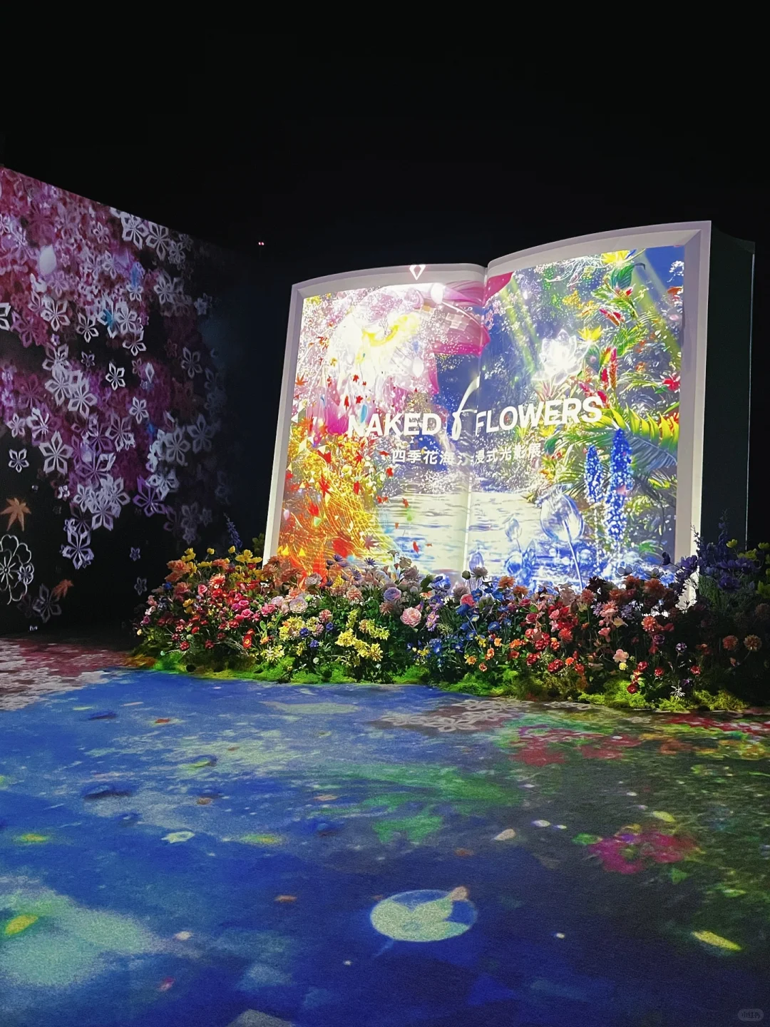春节一定要去的北京展览！梦核光影（live太美