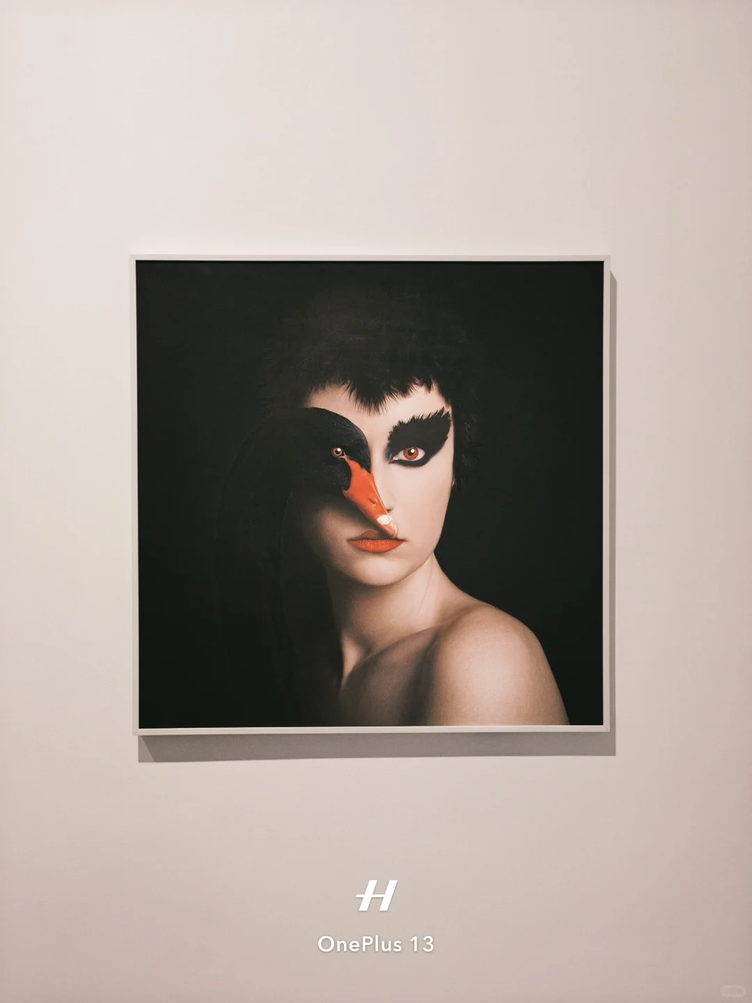 离开深圳前!最后再看个展!