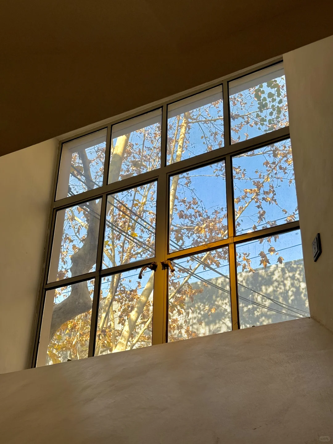 上海免费新展！被浪漫星空包围下……✨✨