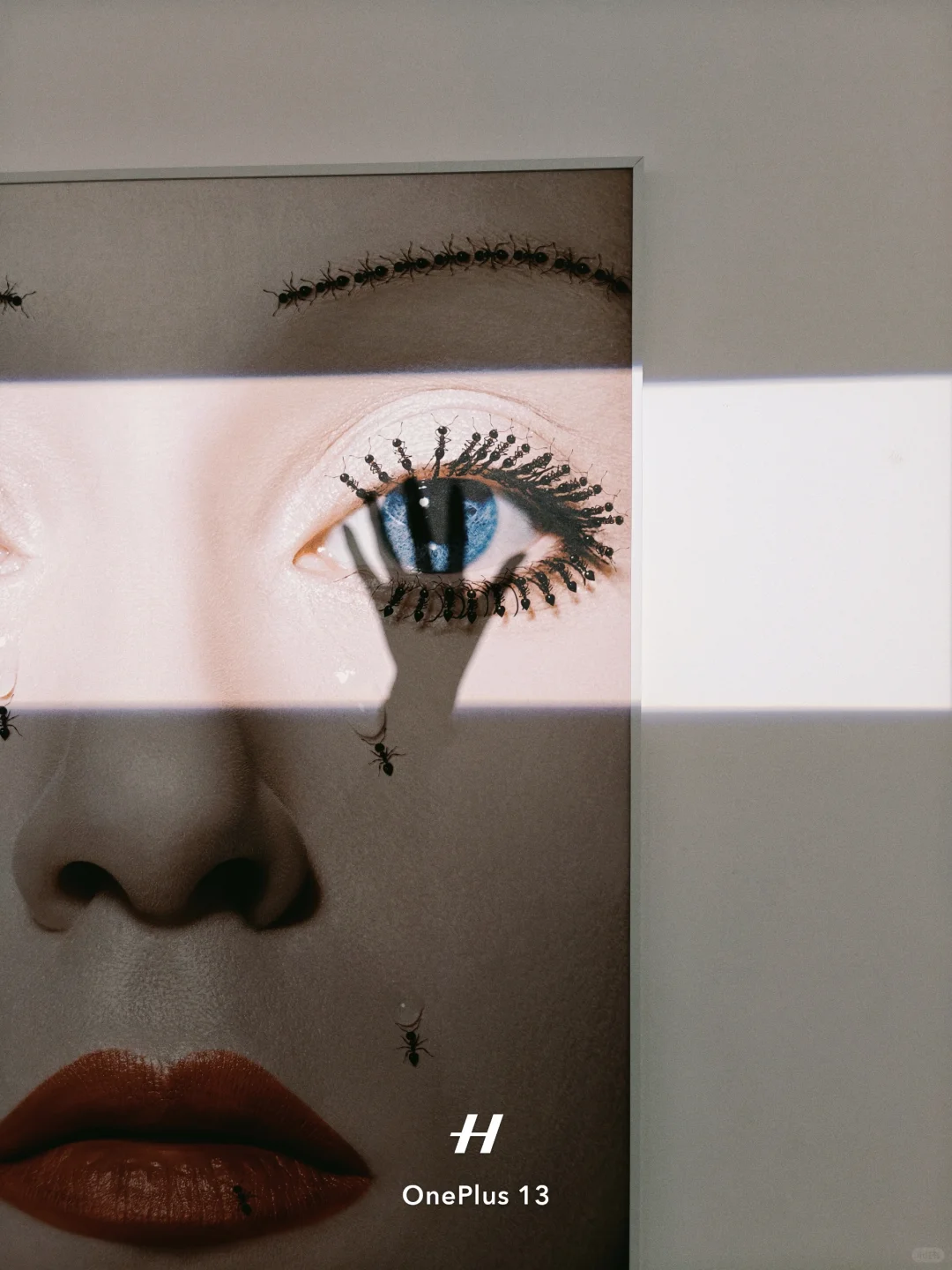 离开深圳前!最后再看个展!