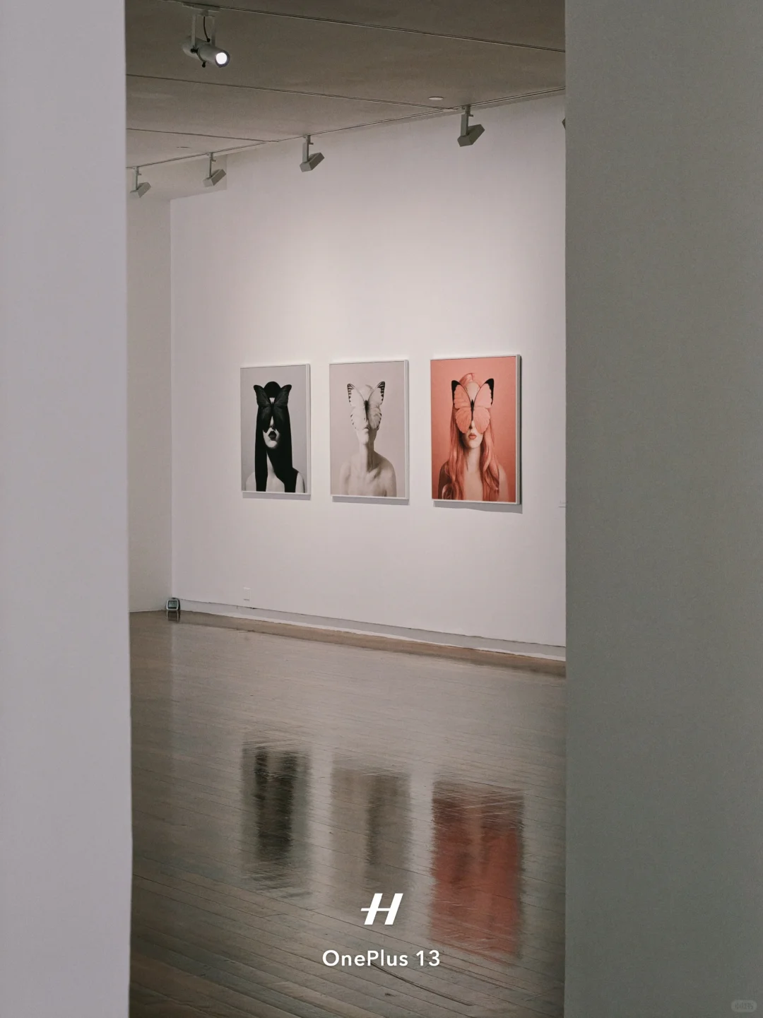 离开深圳前!最后再看个展!