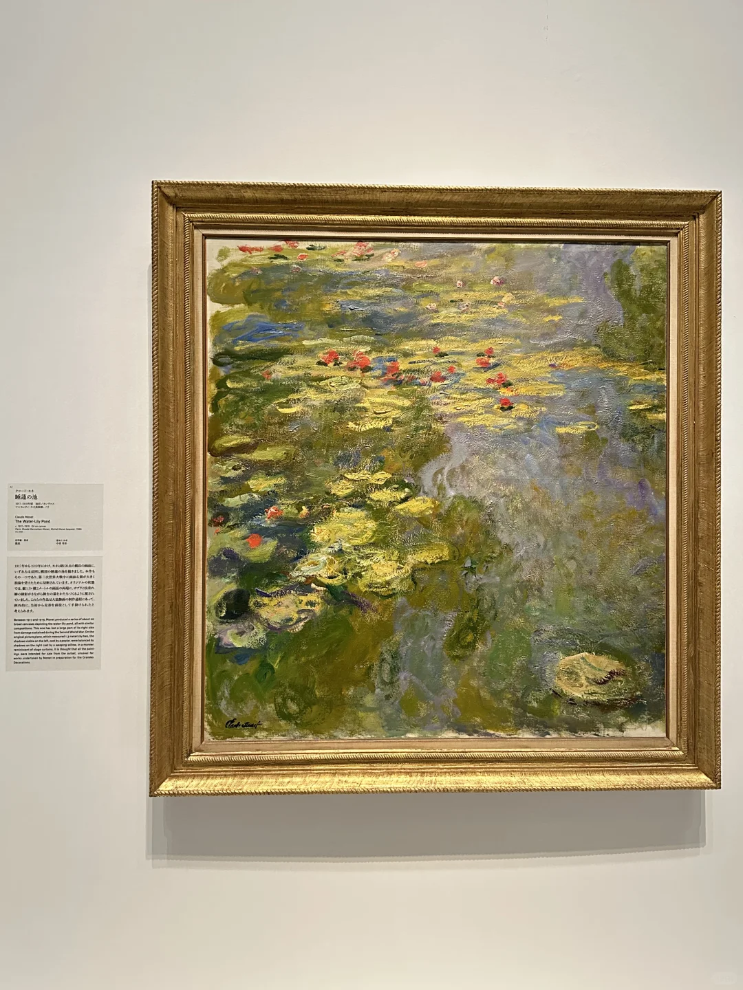 东京莫奈画展‼️我不懂，但大为震撼