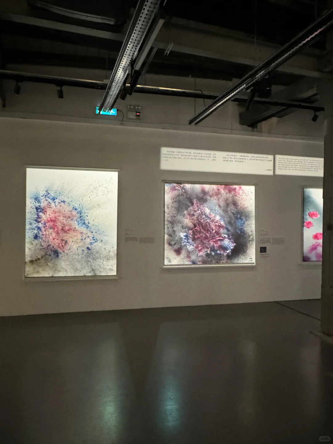 澳门！新展！免费！好智能啊！
