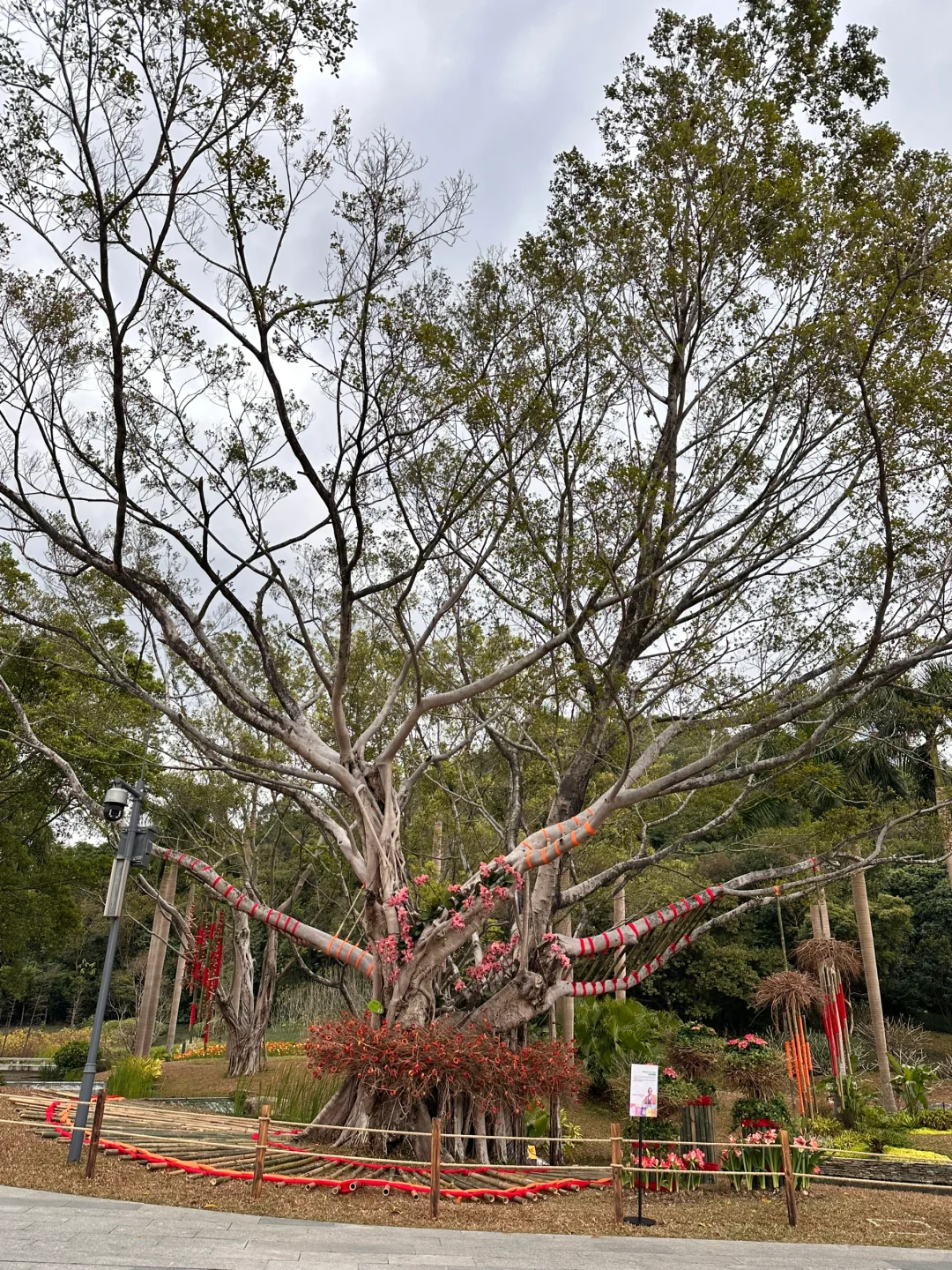 春节小众宝藏地｜附广州园林博览会游览攻略