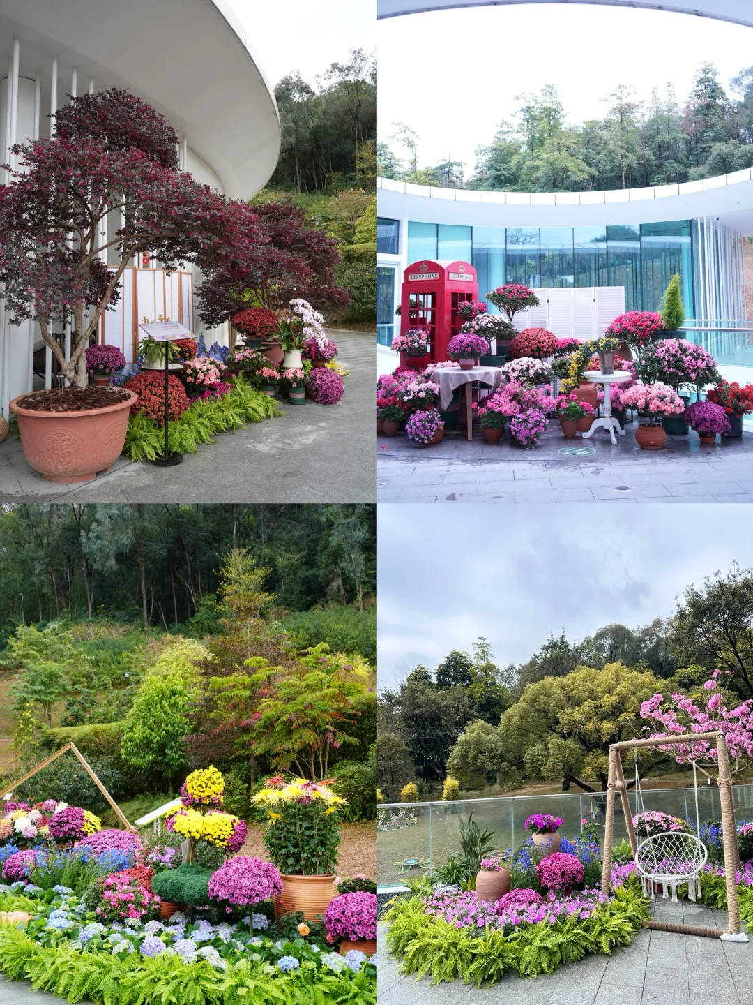 春节小众宝藏地｜附广州园林博览会游览攻略