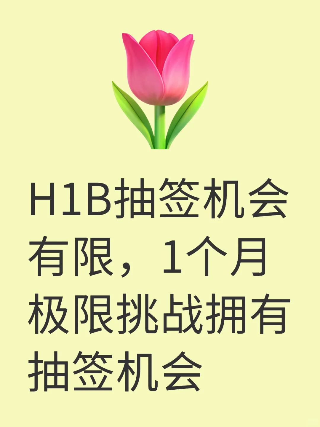 H1B抽签机会有限，1个月极限挑战拥有抽签