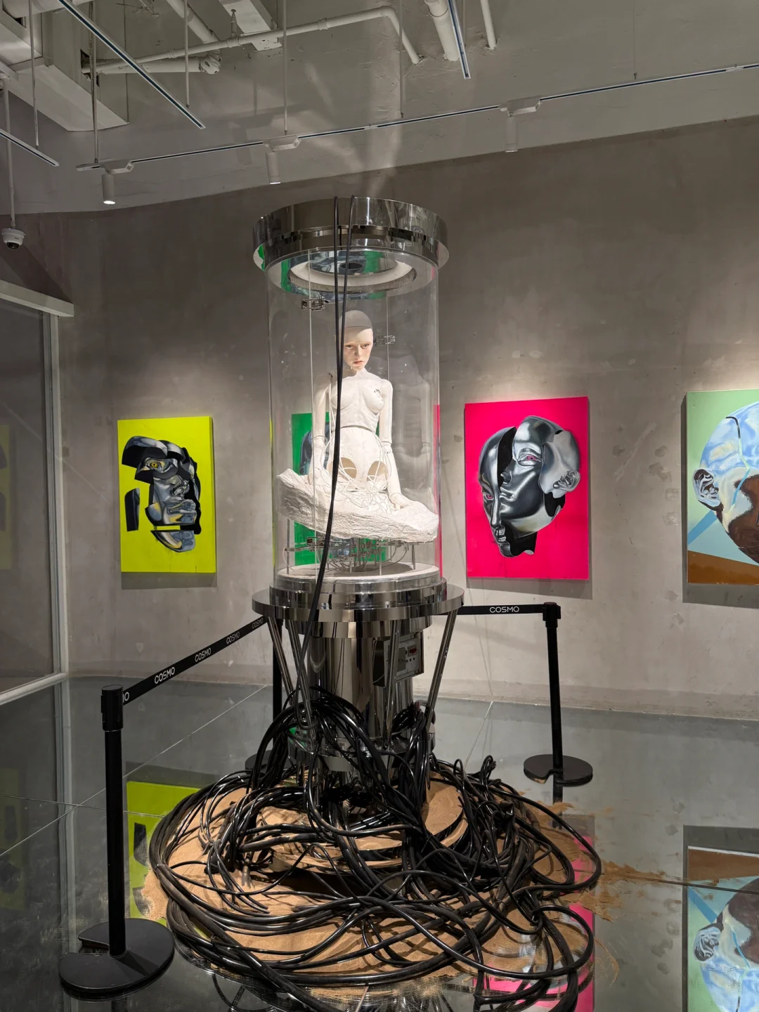 GM巨人展?️