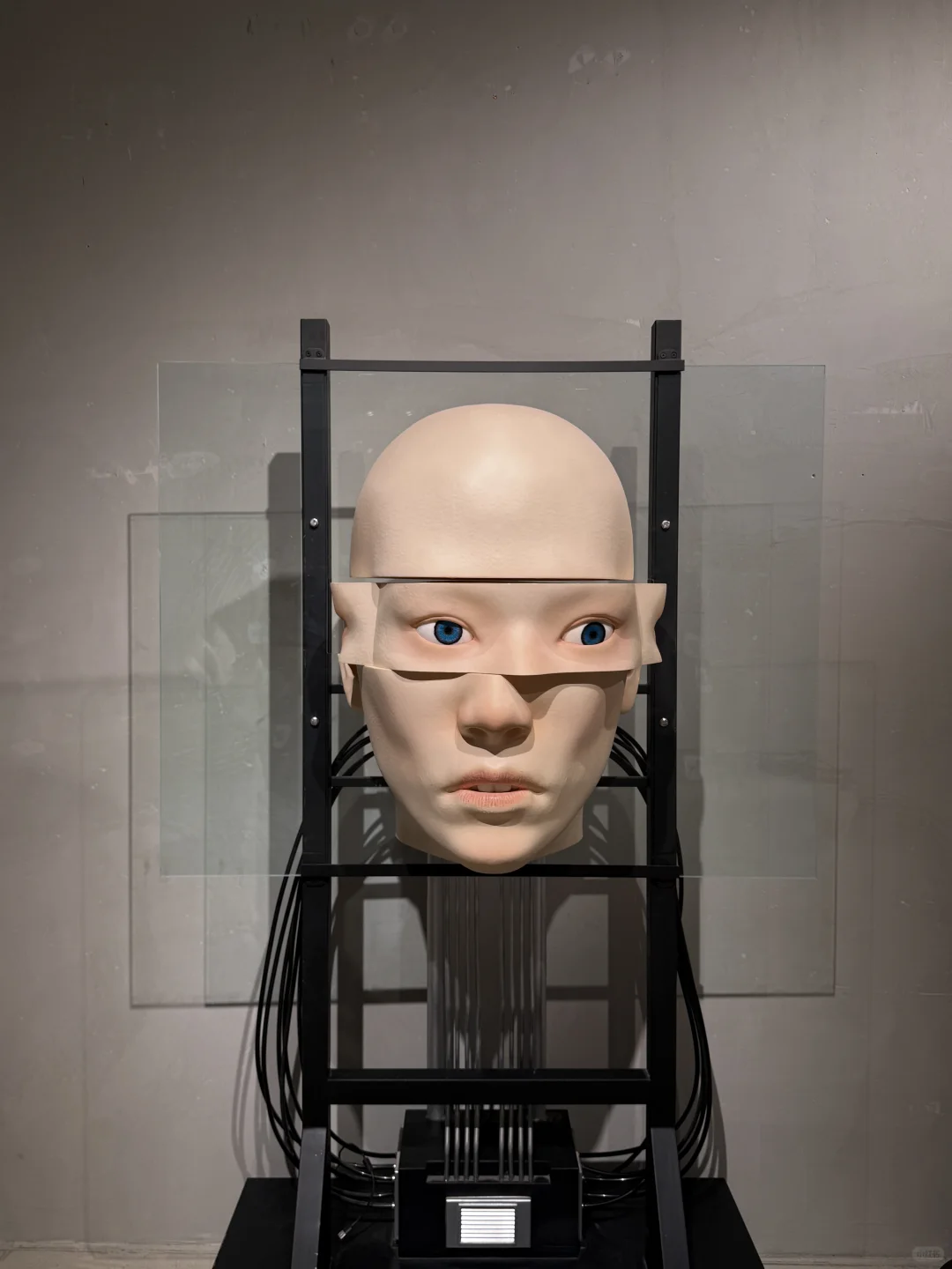 GM巨人展?️