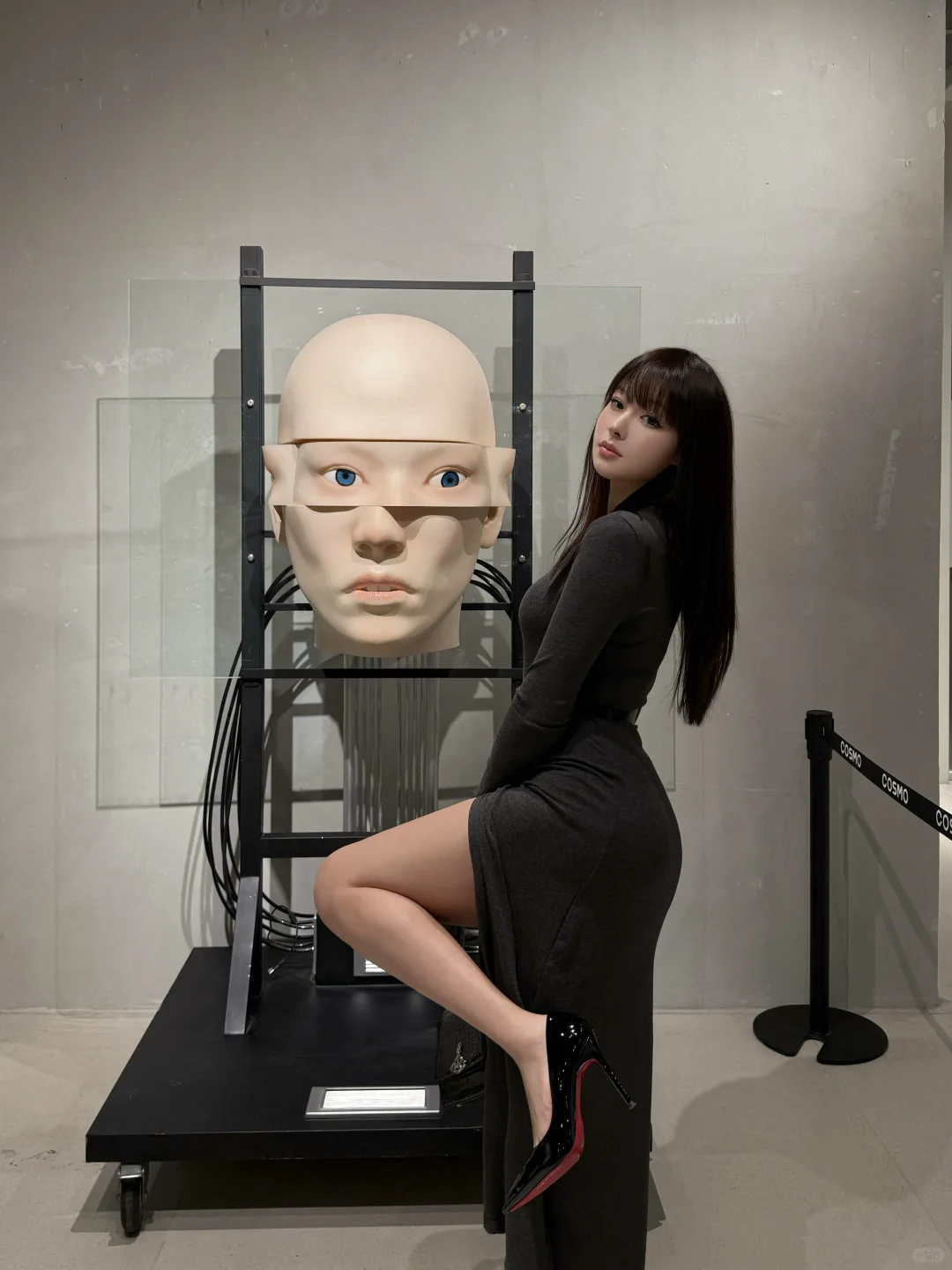 GM巨人展?️