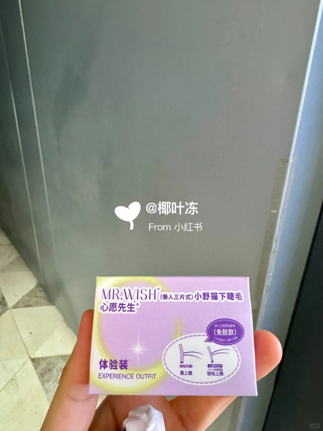 今日福田走走逛逛打卡随机?毛