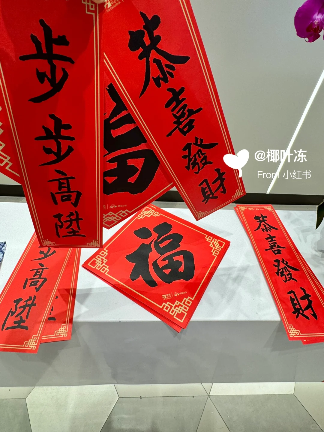 今日福田走走逛逛打卡随机?毛