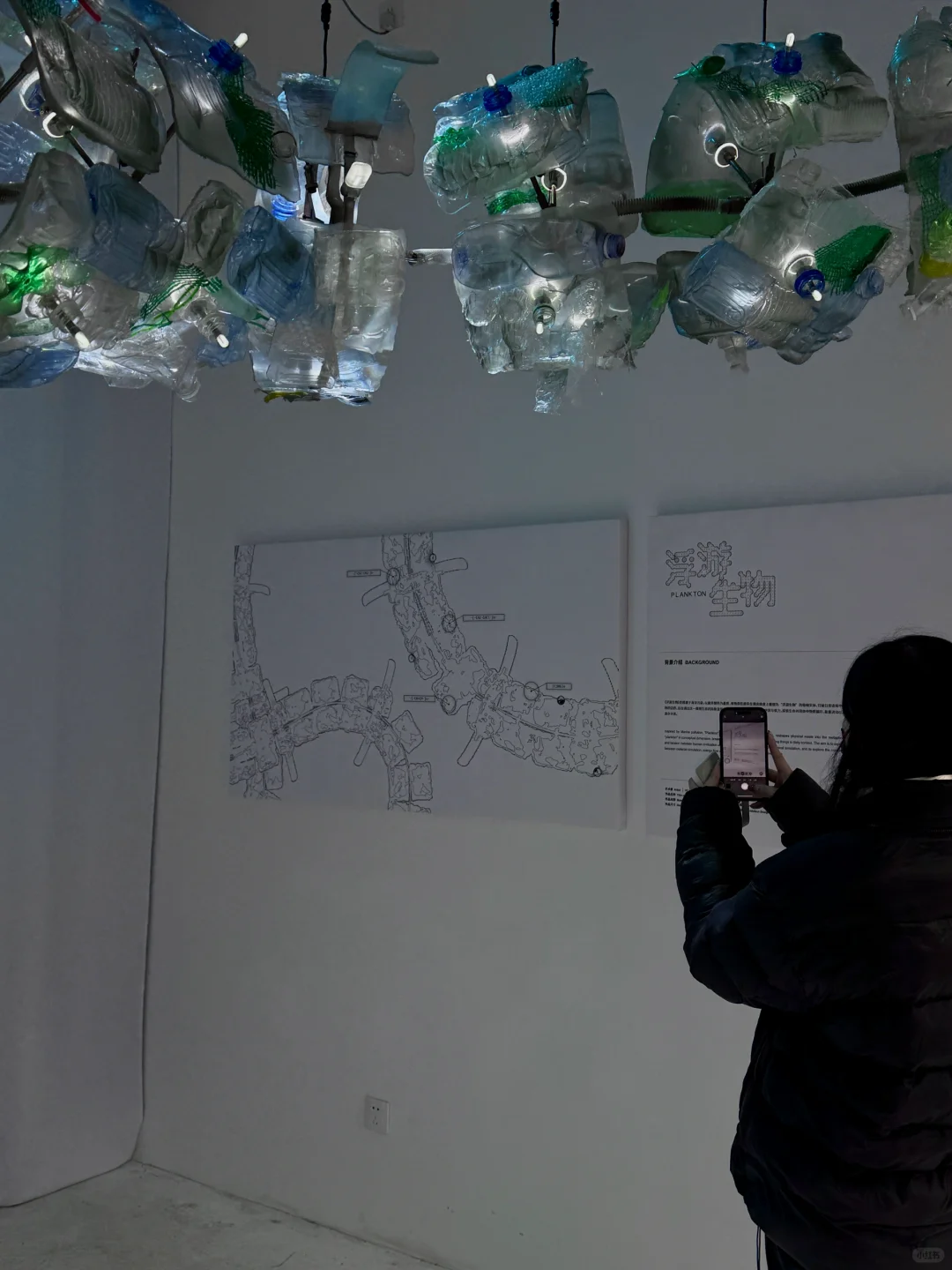 上海免费新展??️?Plankton