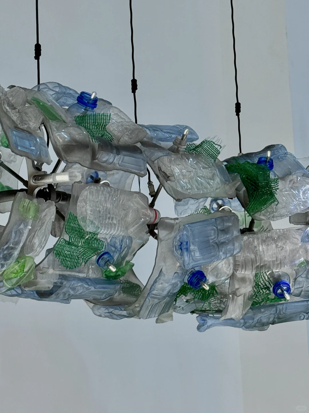 上海免费新展??️?Plankton