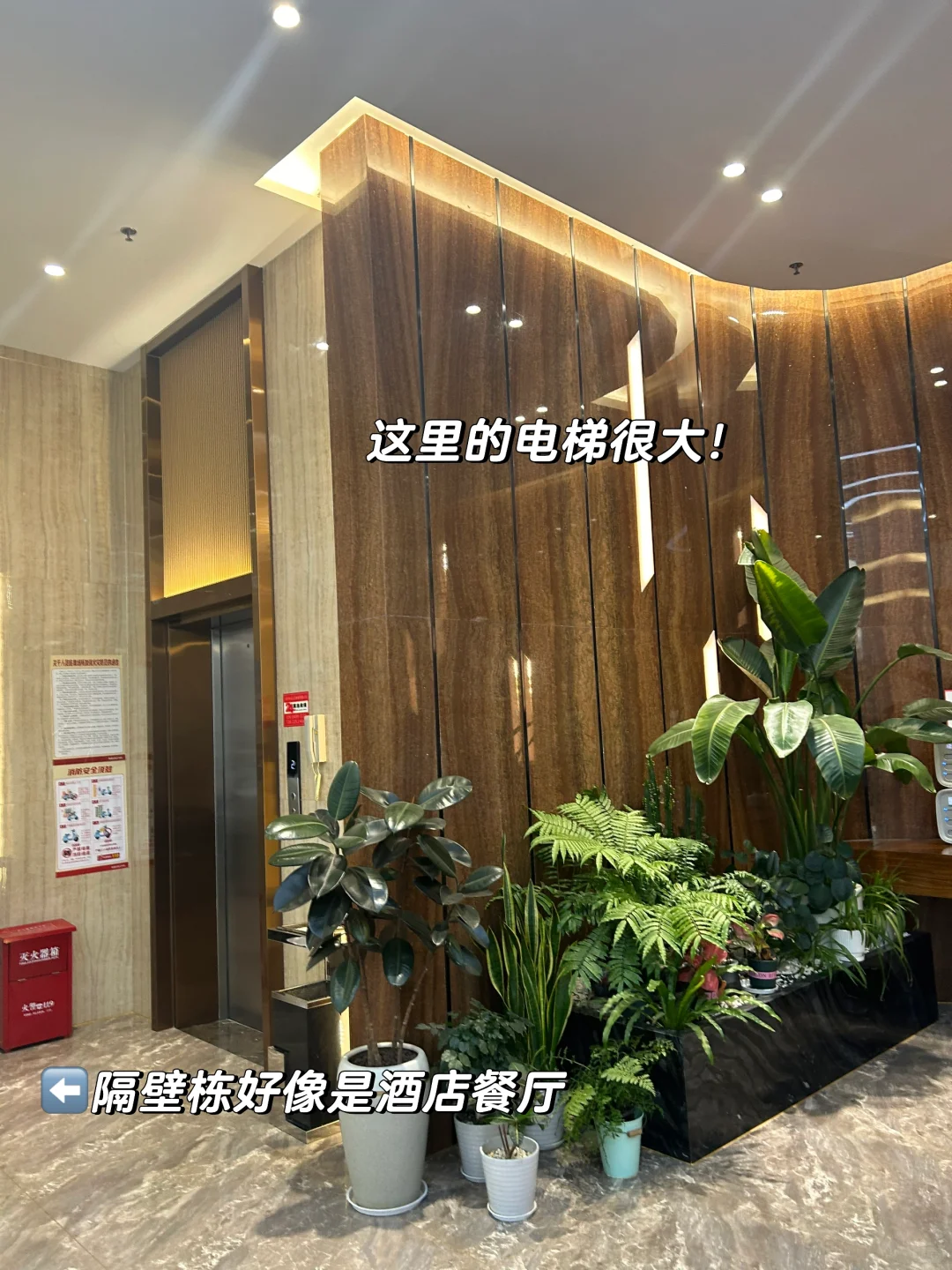 ??➡️?? 深圳酒店? 评价又好住 !