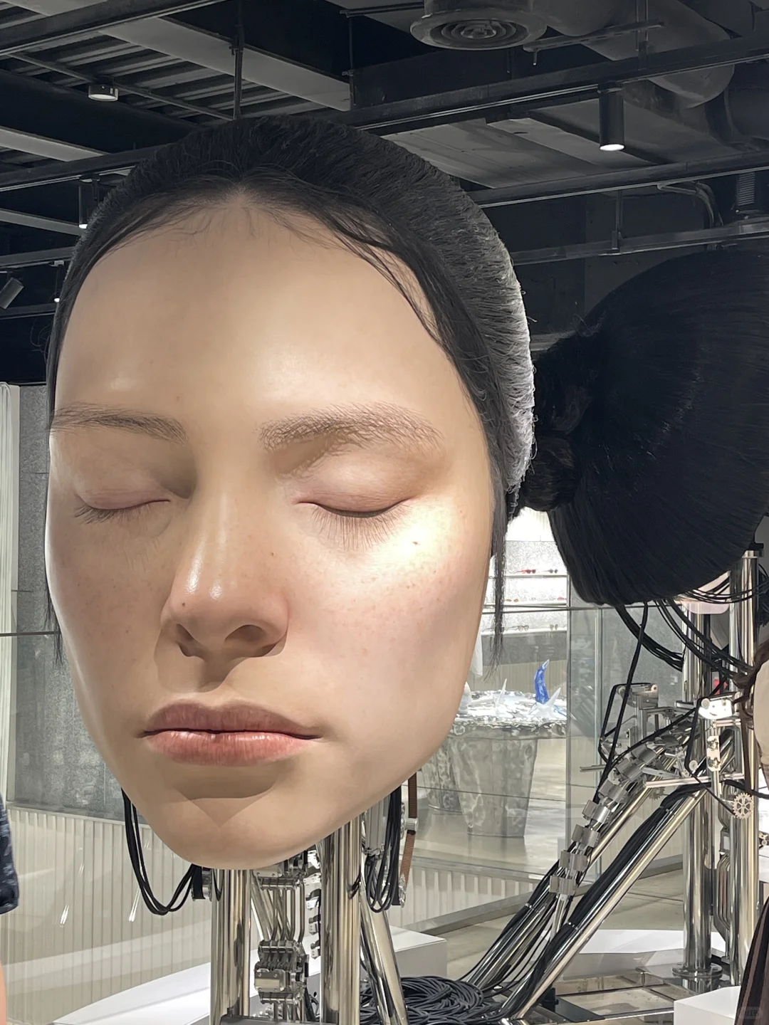 周末来个巨人展吧！?！｜上海GM巨人展