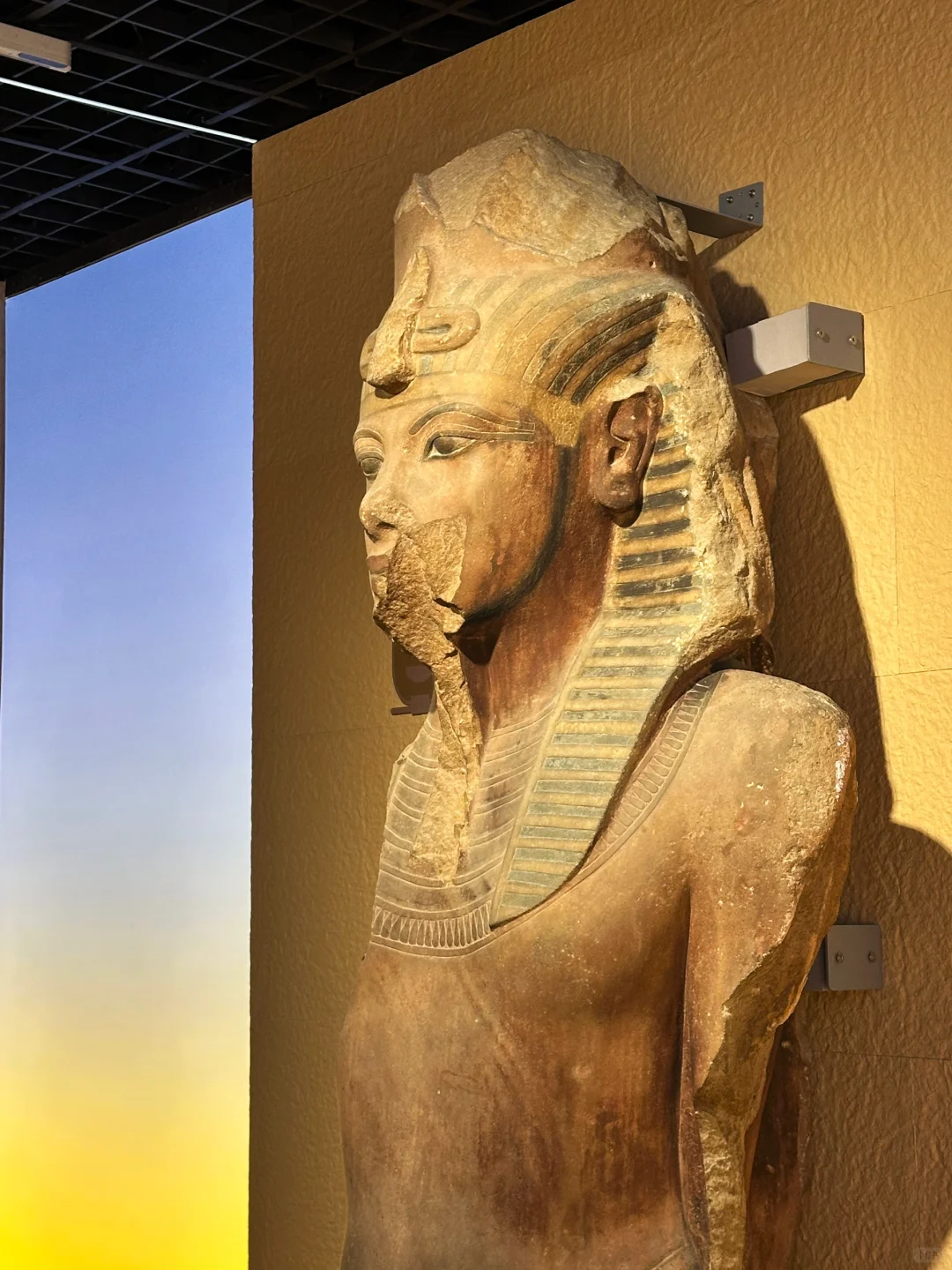 上海埃及展超全攻略❗️看完这篇就够了