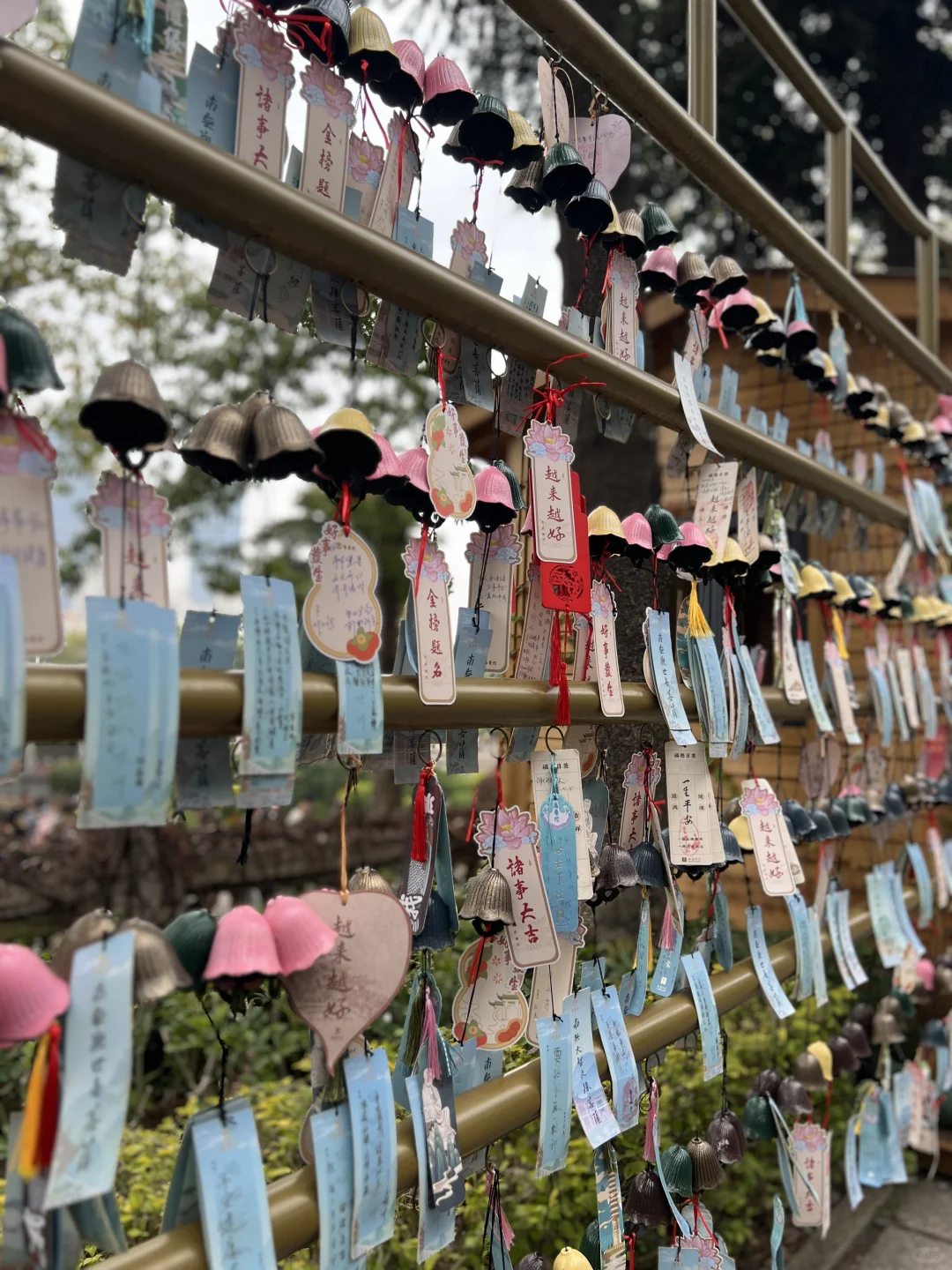 今天的海，我们自己玩吧！?‍♀️