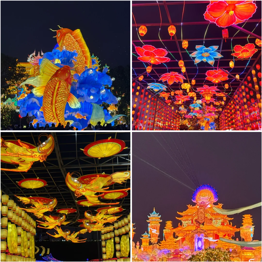 自贡— 2025年灯会展 ?