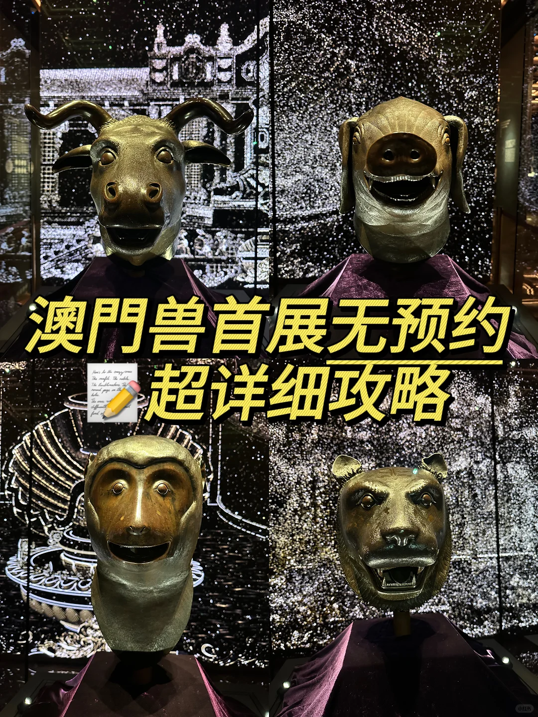 不看血亏‼️澳门兽首展览现场取票详细攻略