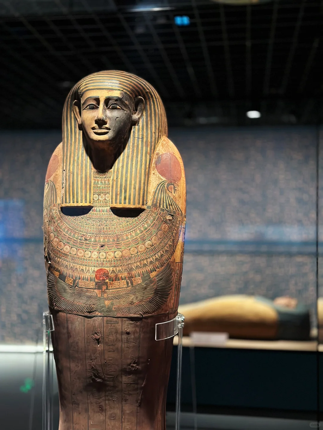 上海埃及展超全攻略❗️看完这篇就够了