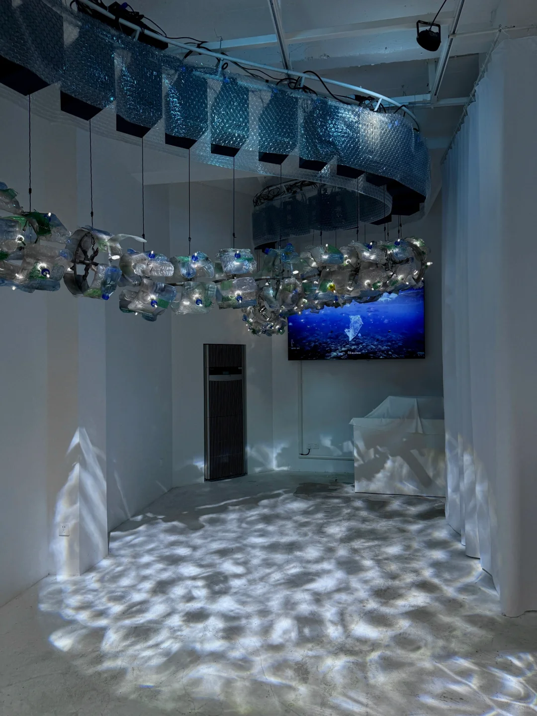 上海免费新展??️?Plankton