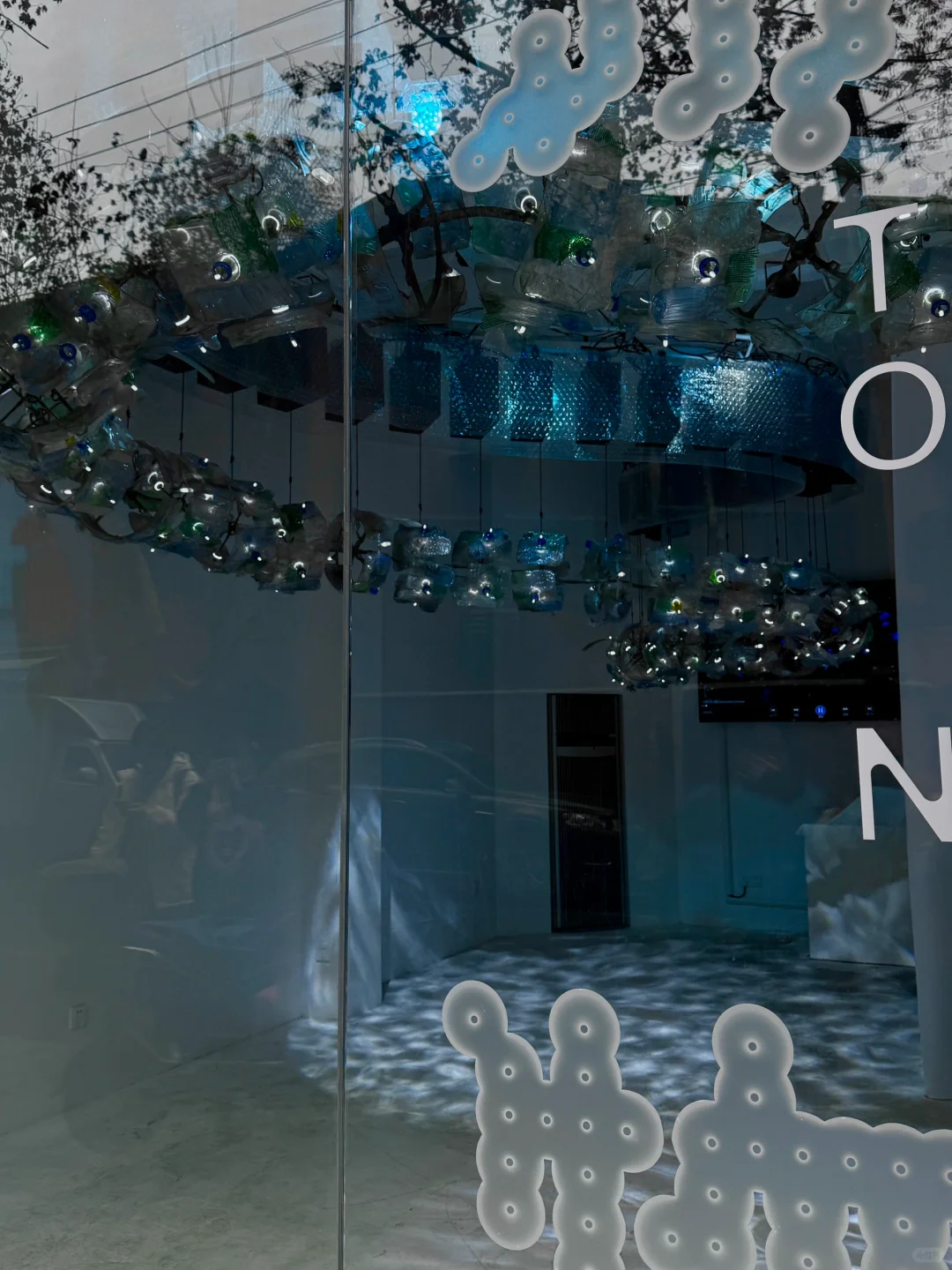 上海免费新展??️?Plankton