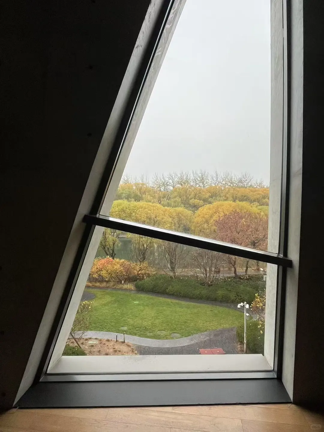 春节展览送?
