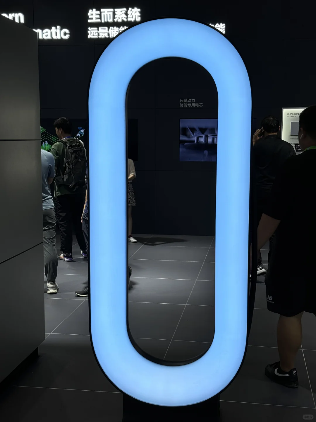 EESA储能展