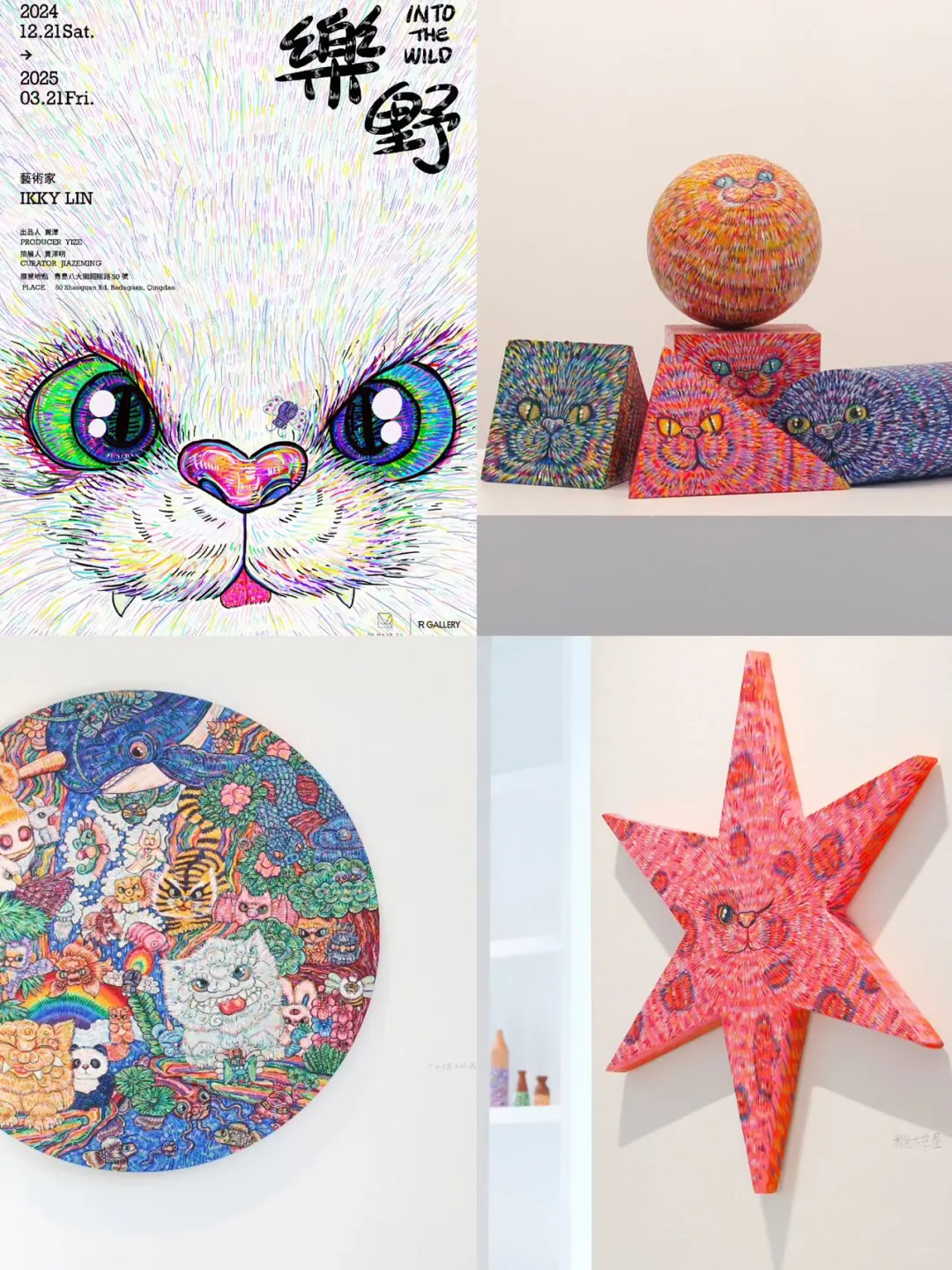 青岛2月1⃣️4⃣️个新展｜用艺术开启新年新气象