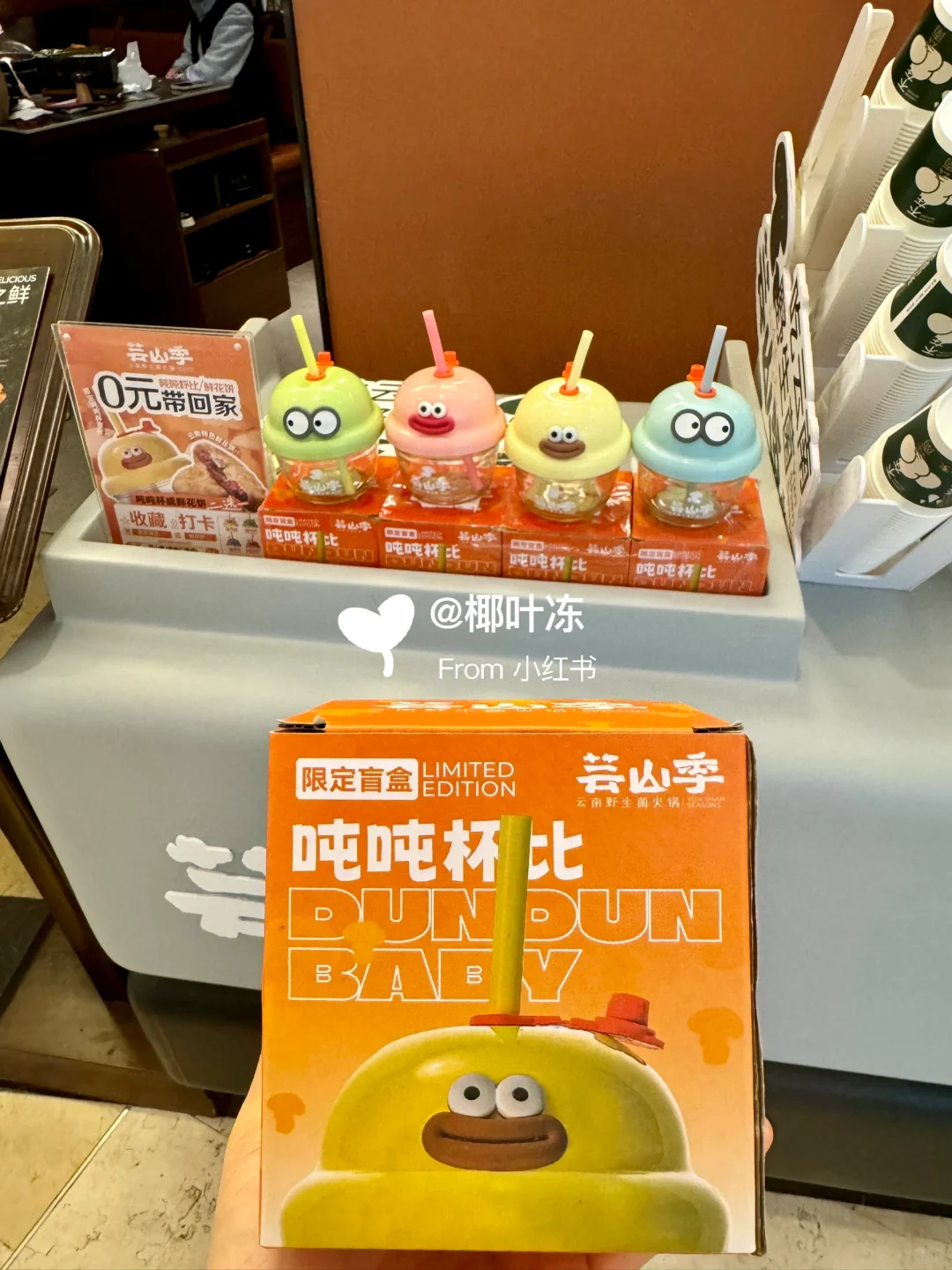 今日福田走走逛逛打卡随机?毛