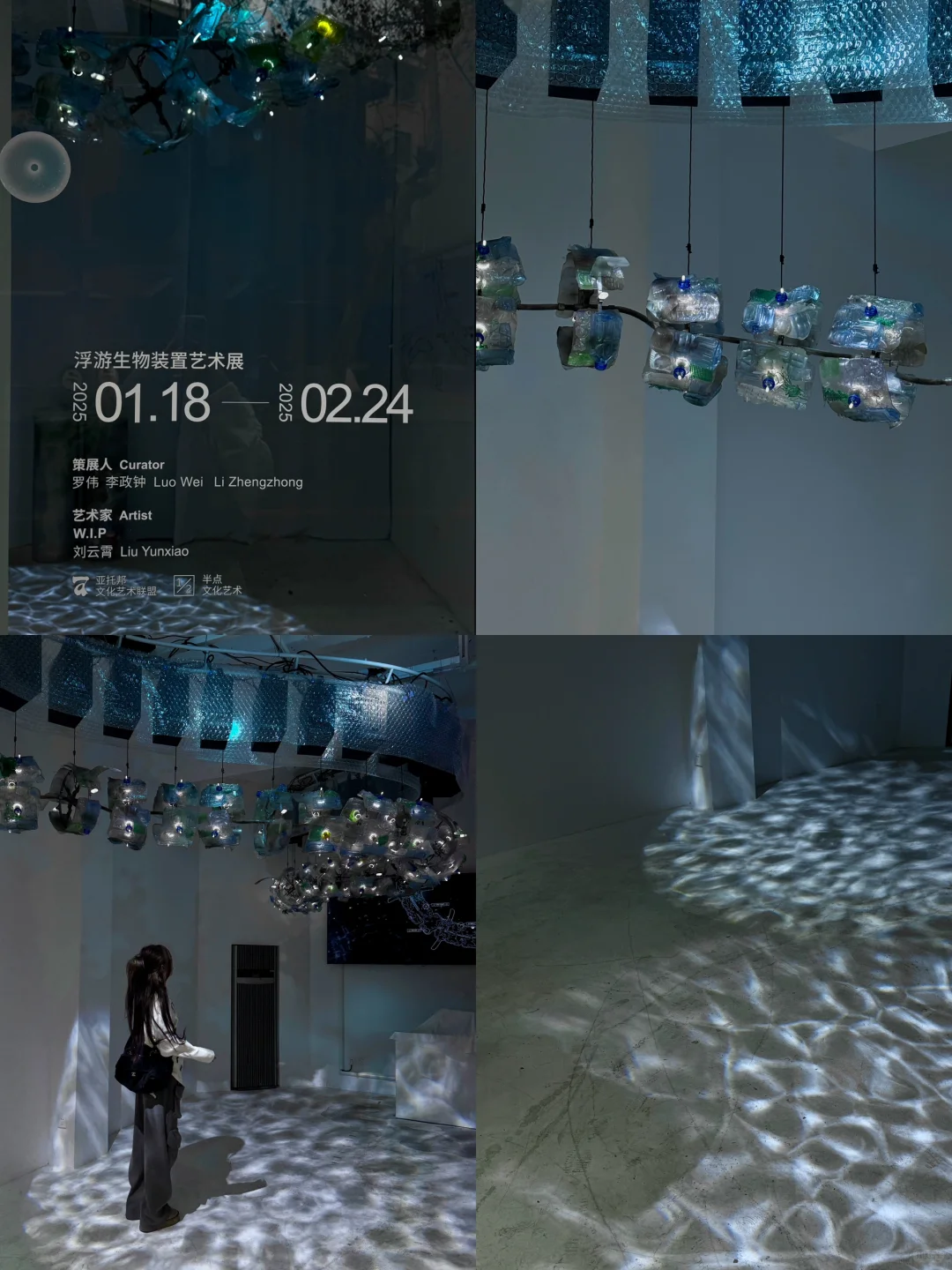 上海免费新展??️?Plankton